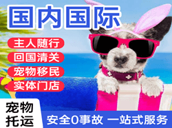 漠河古莲航空托运国际宠物托运 【国